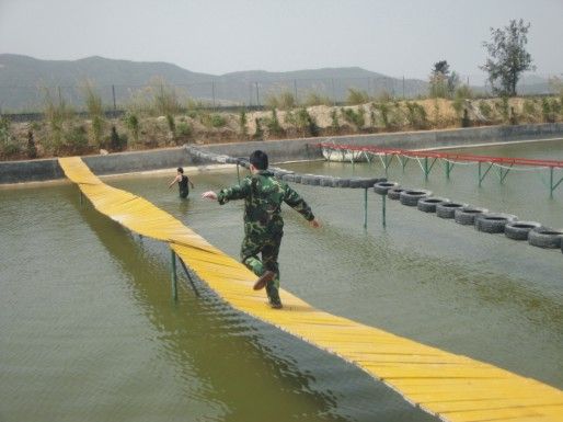 水上蛇形橋
